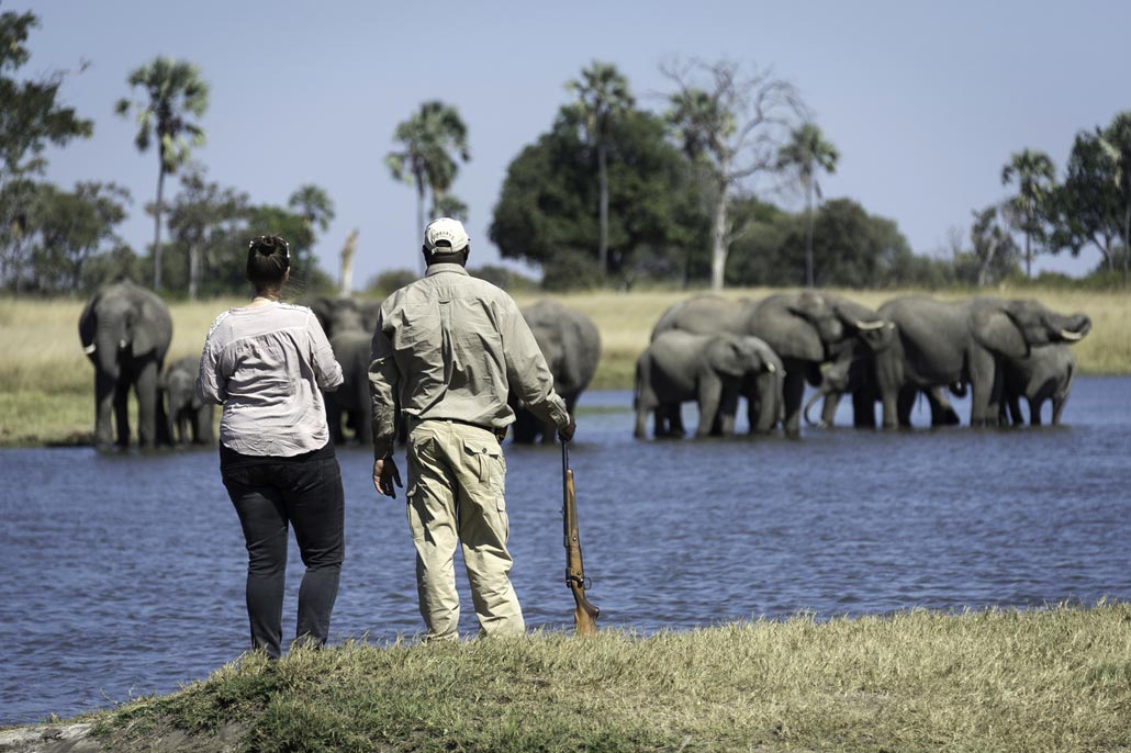 Explorations Africa